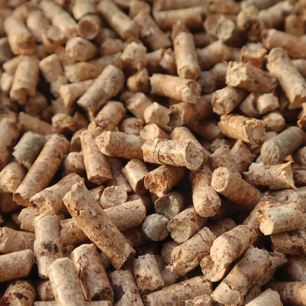 Biofuels