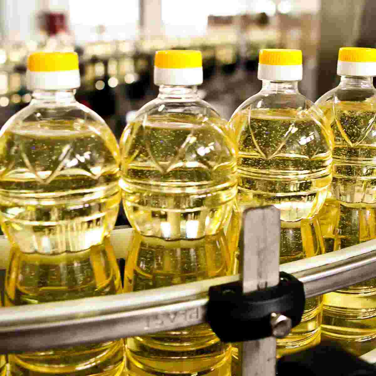 Edible Oils