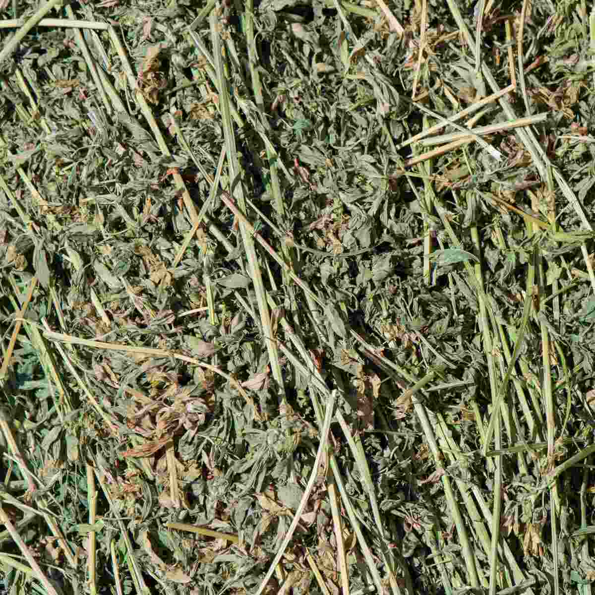 Forage