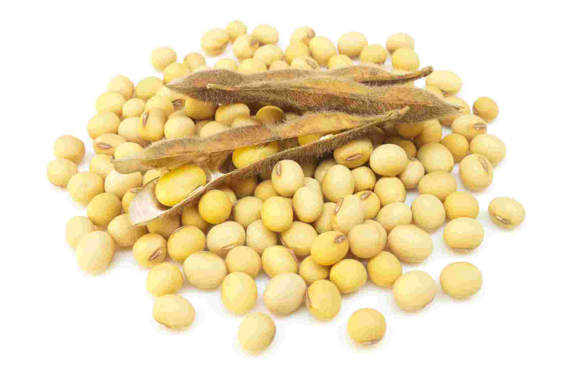 Soybeans