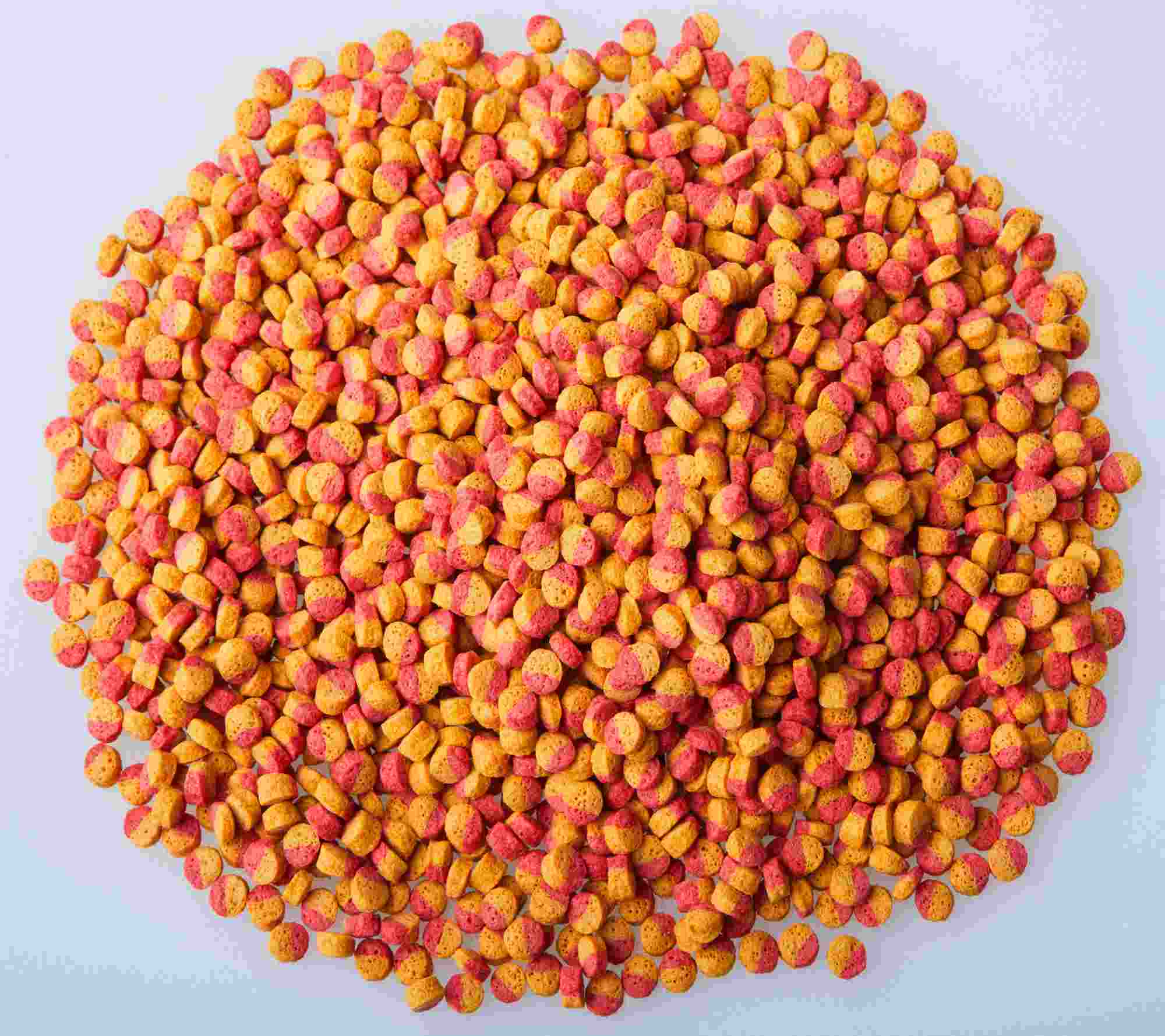 Compound Feed