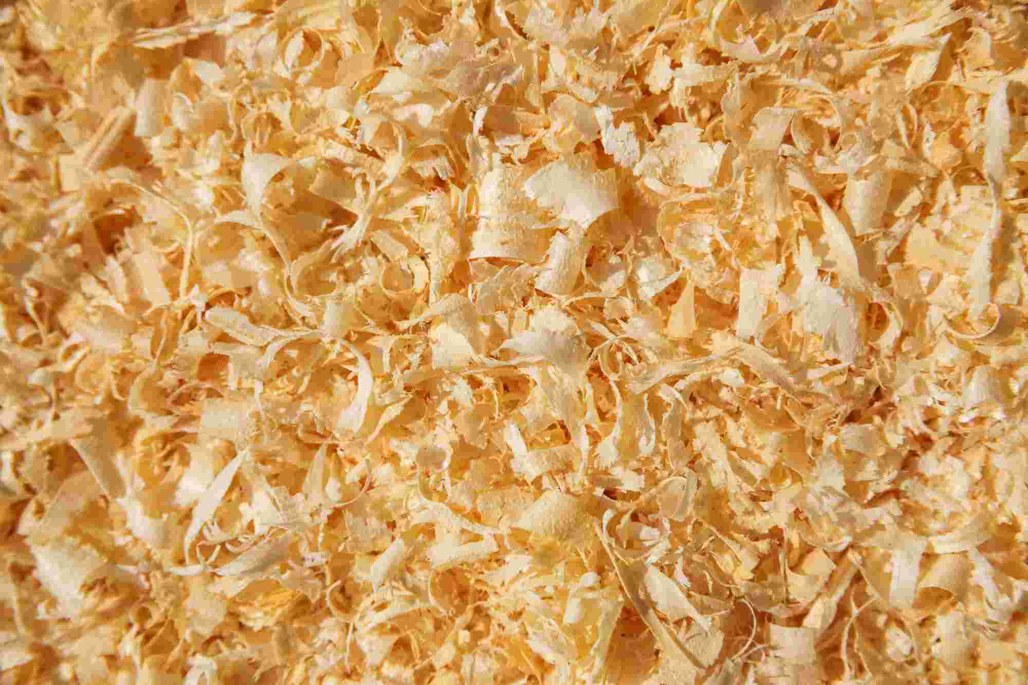Wood Shavings