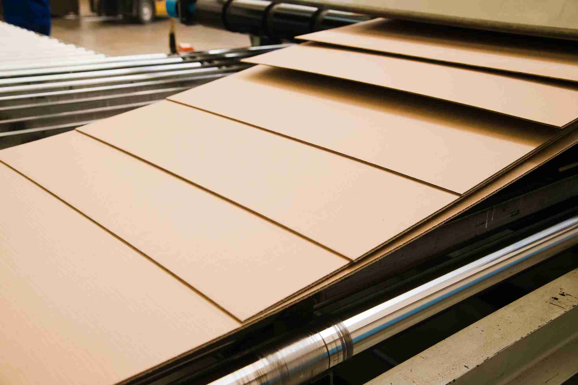 Cardboard