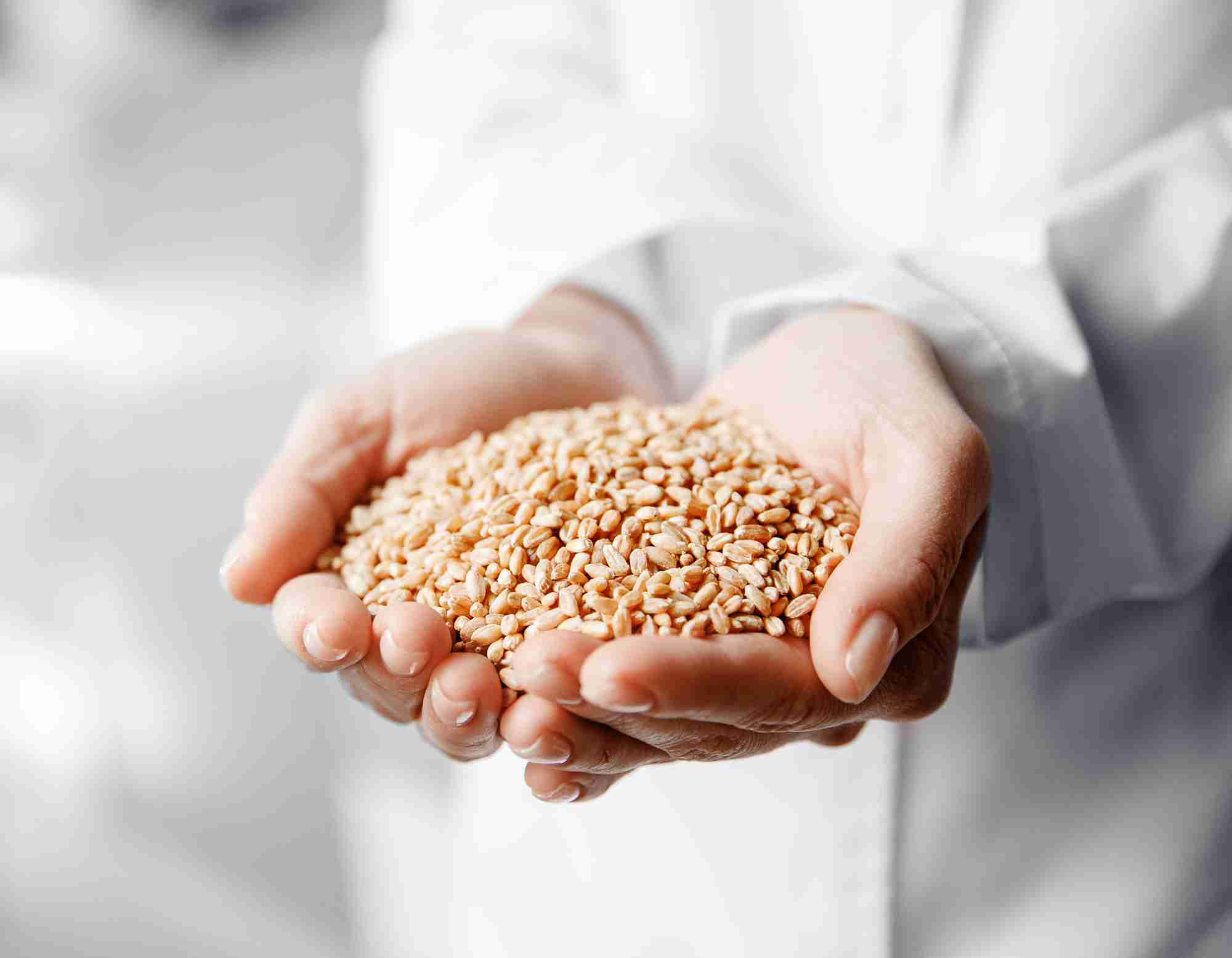 Wheat Testing