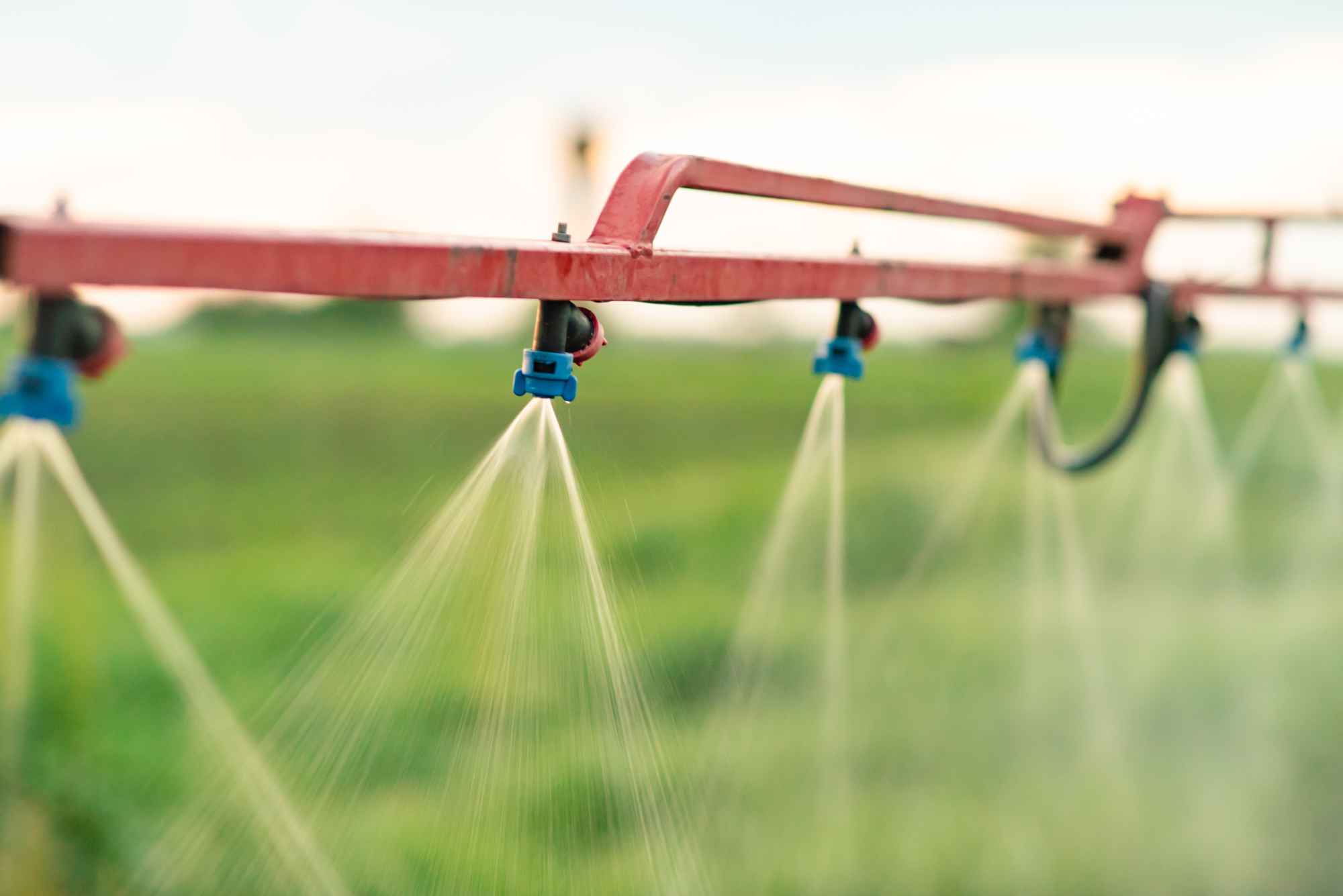 Fertilizers