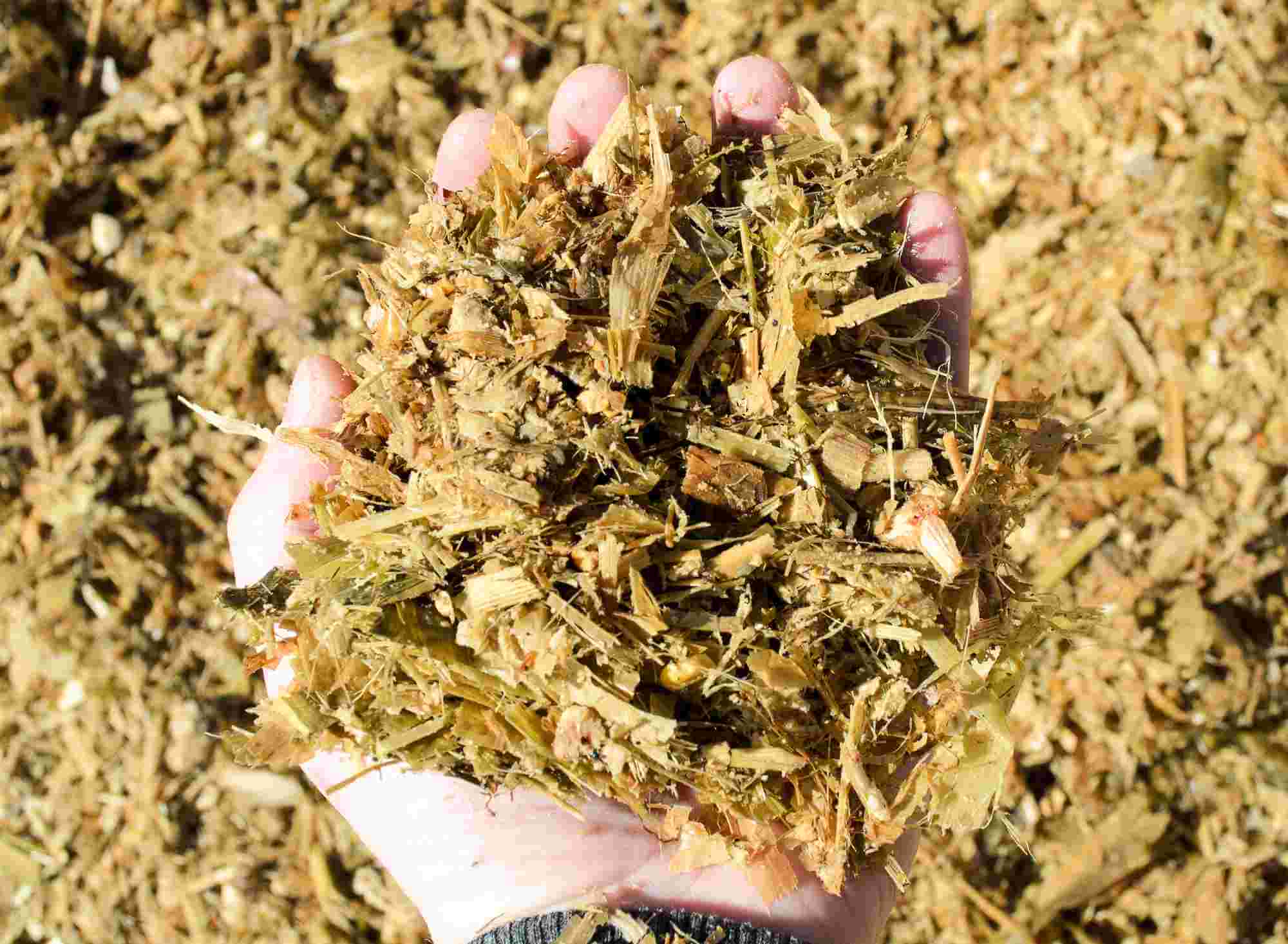 Agricultural Feed