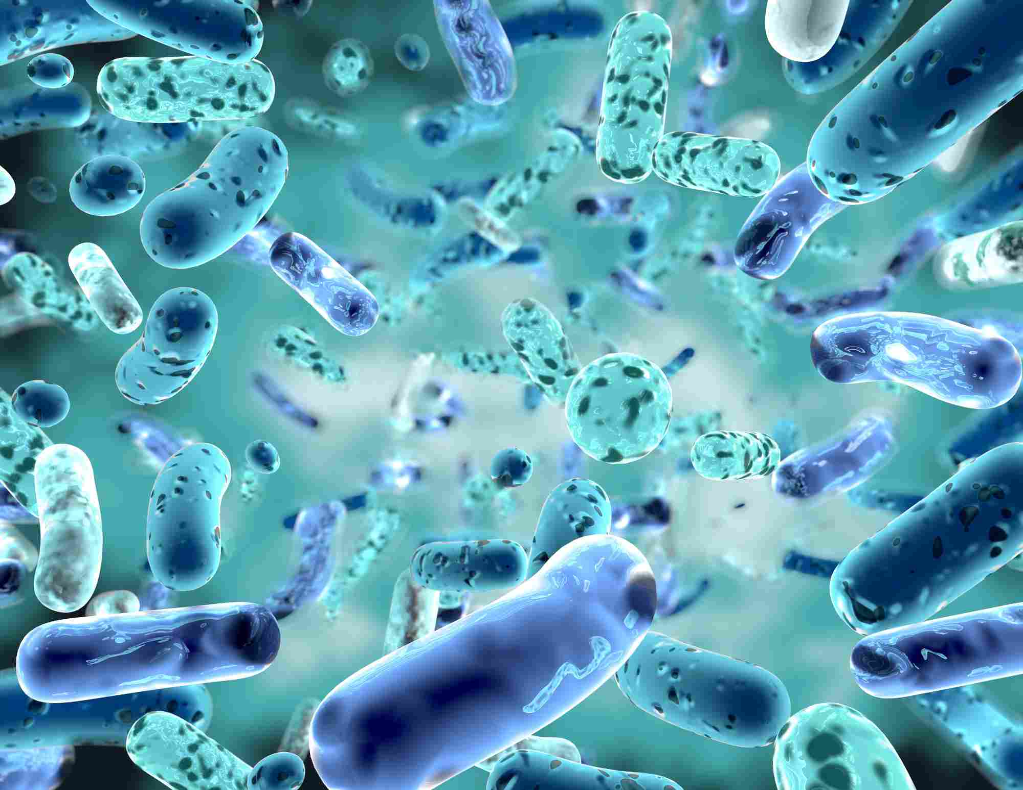 Probiotics