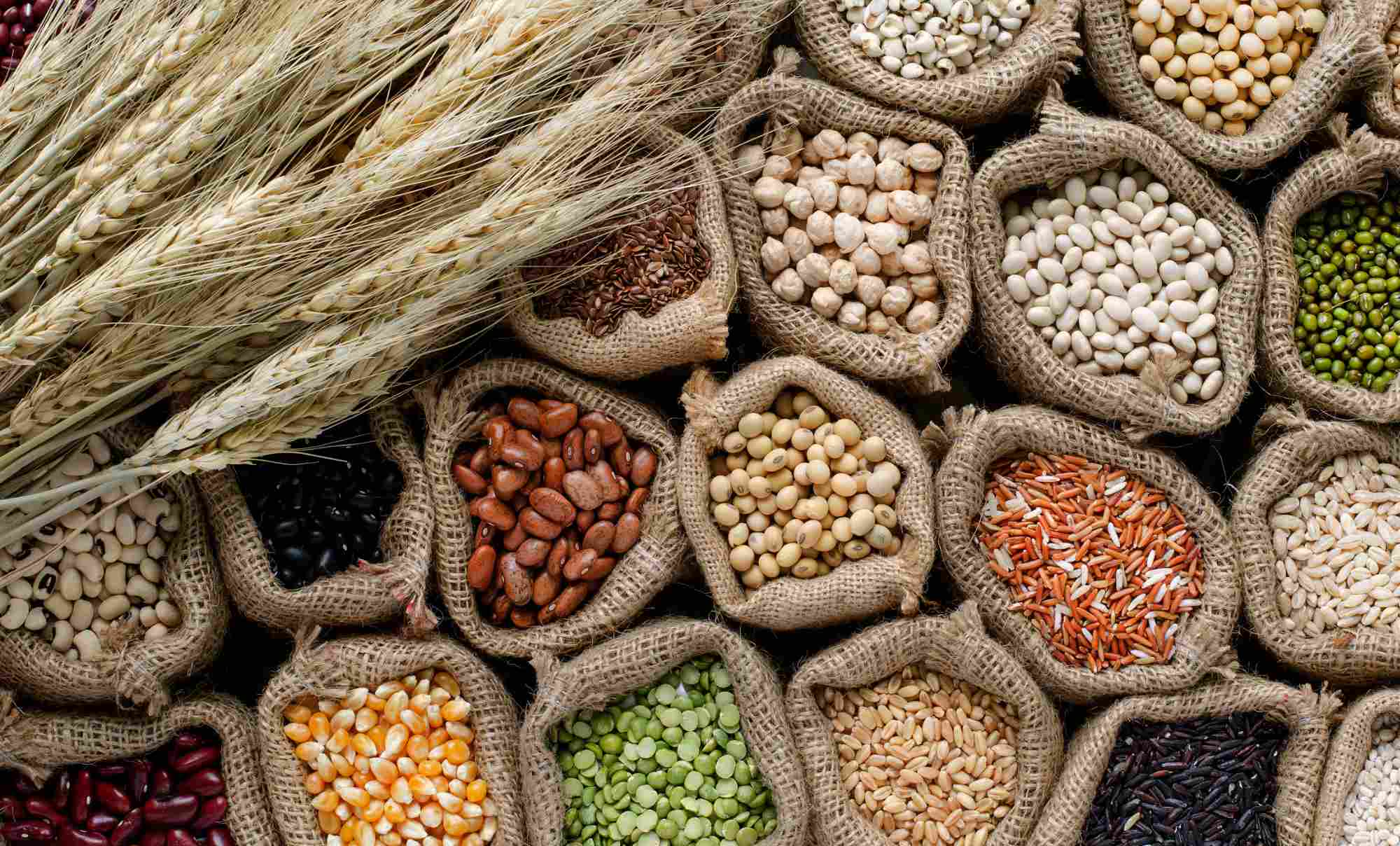 Cereals & Grains