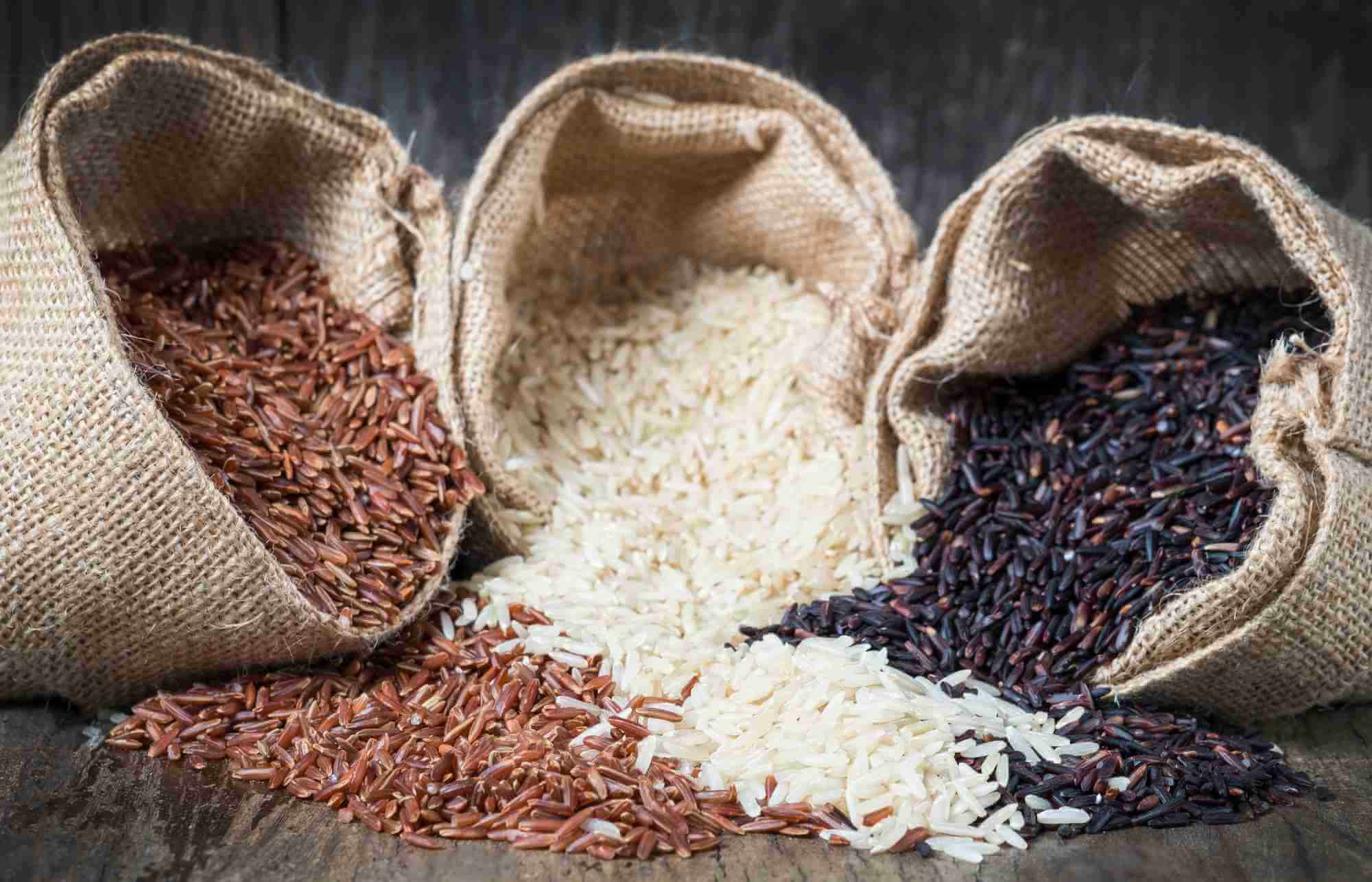 Rice