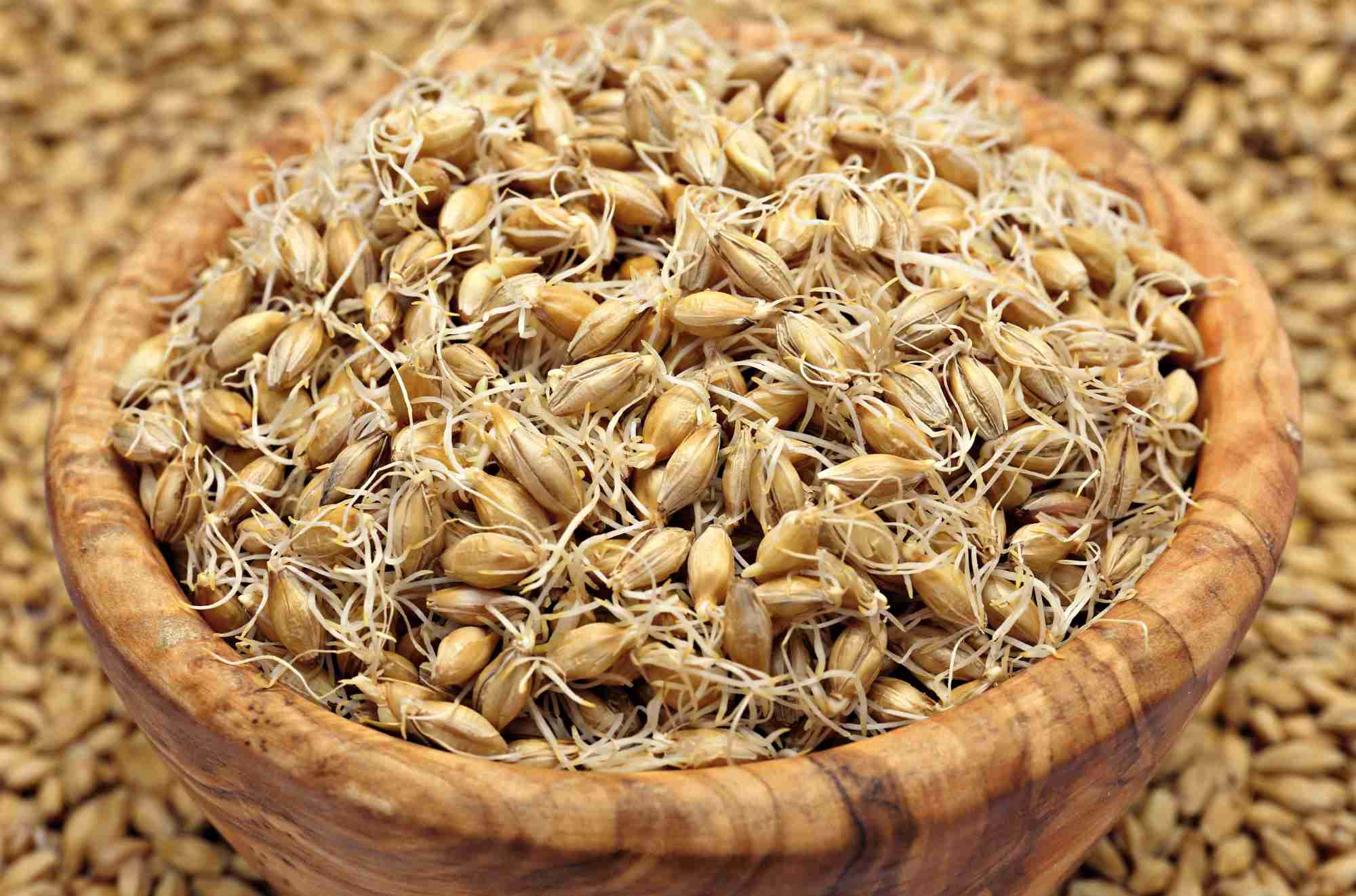 Green Malt