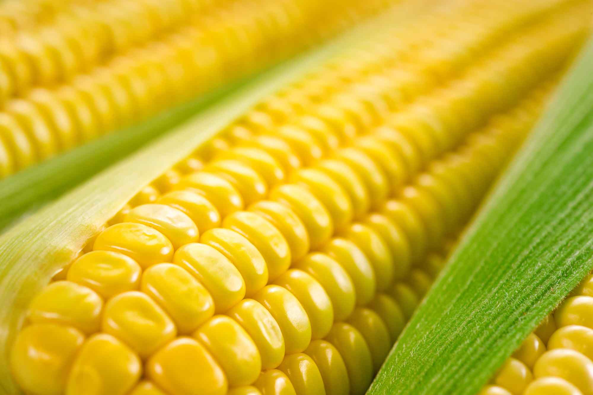 Corn