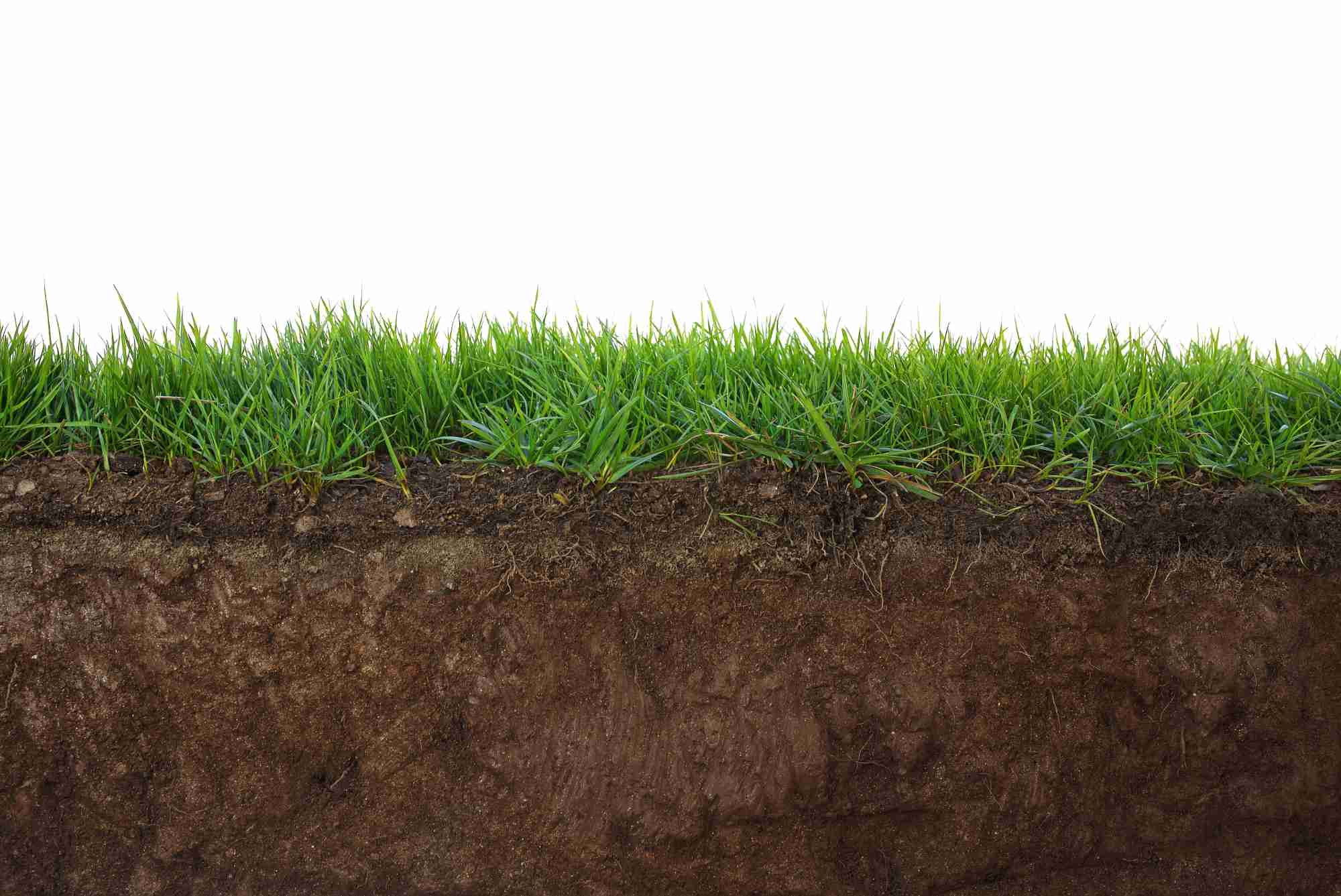 Soil Analysis