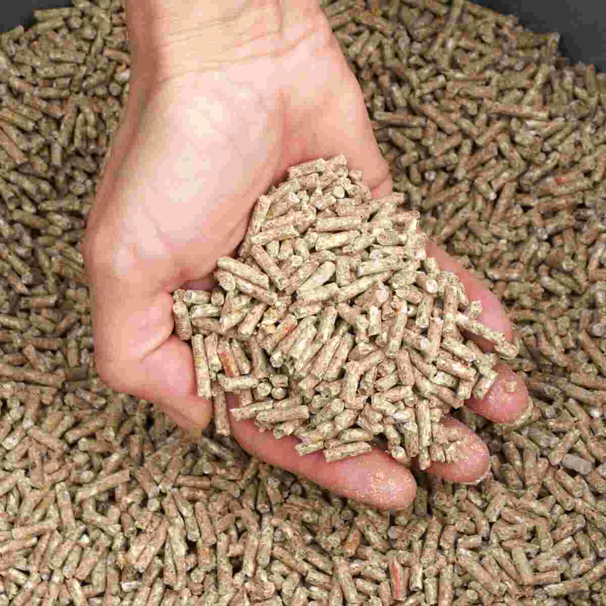 Agricultural Feed
