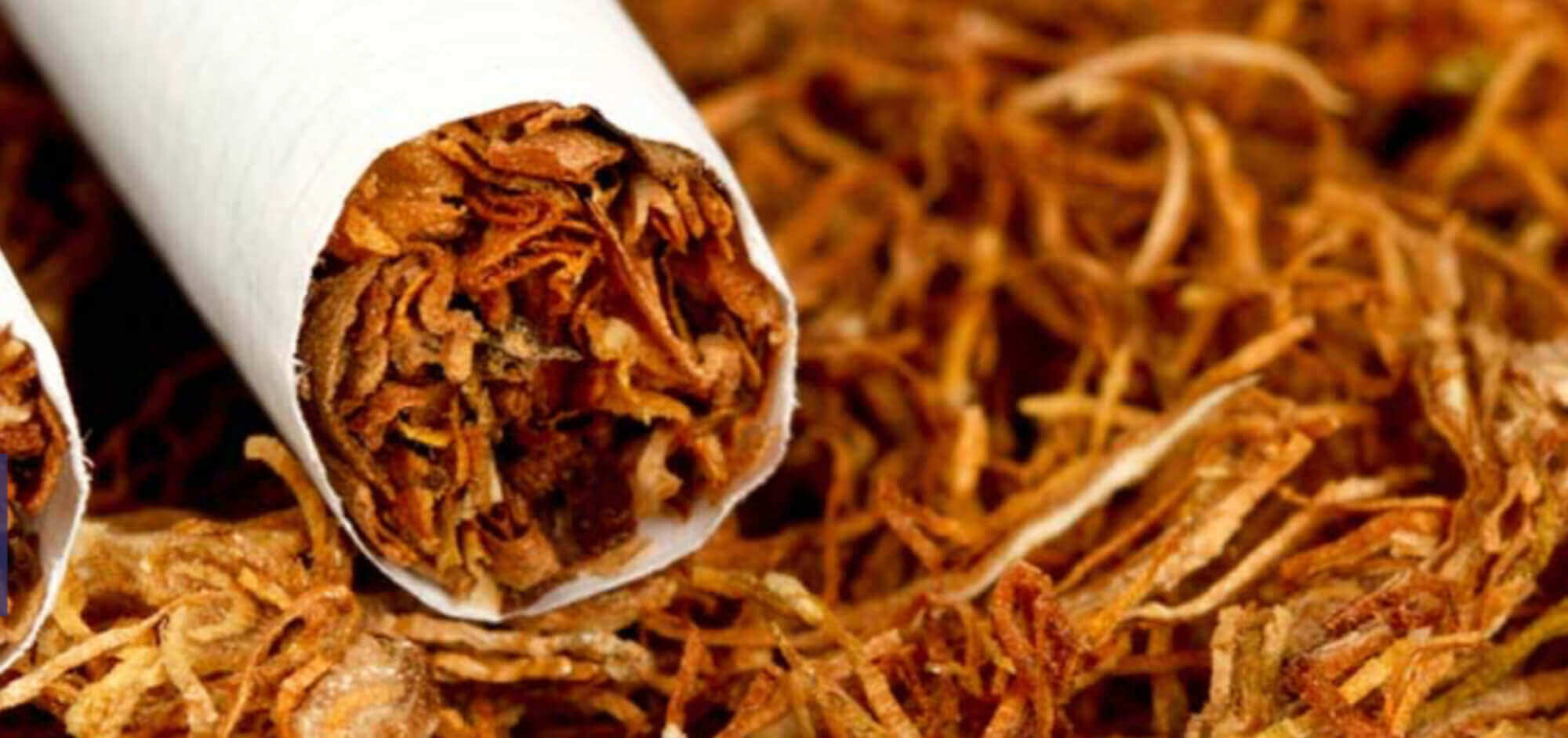 Tobacco
