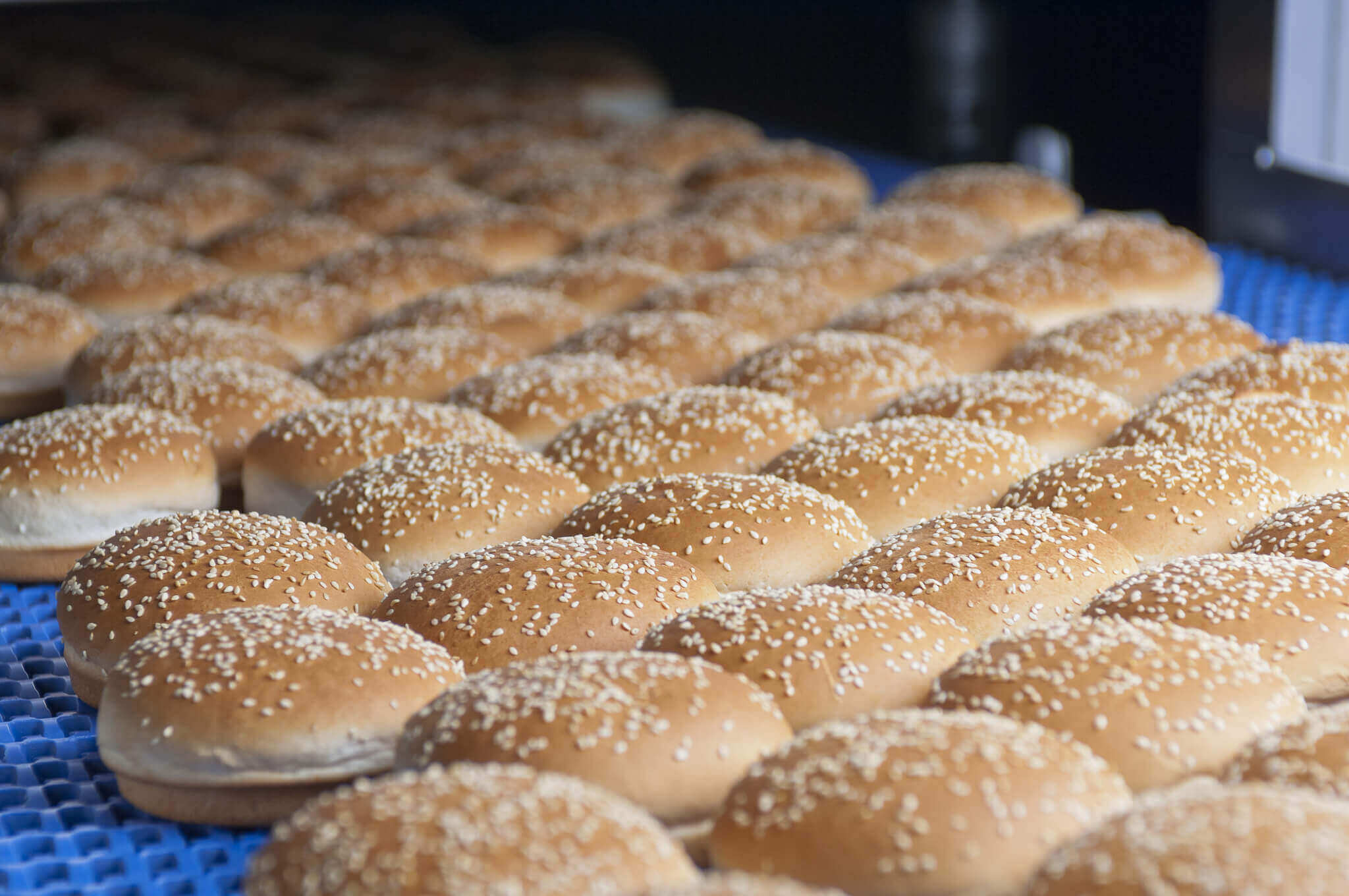 Buns