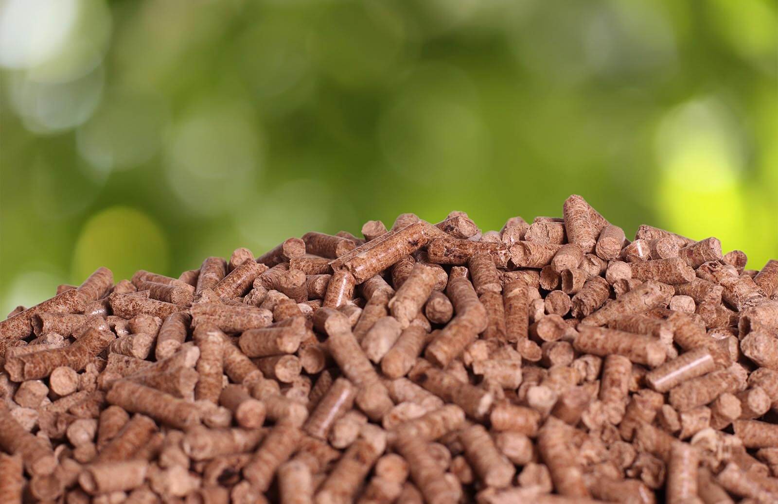 Biofuels