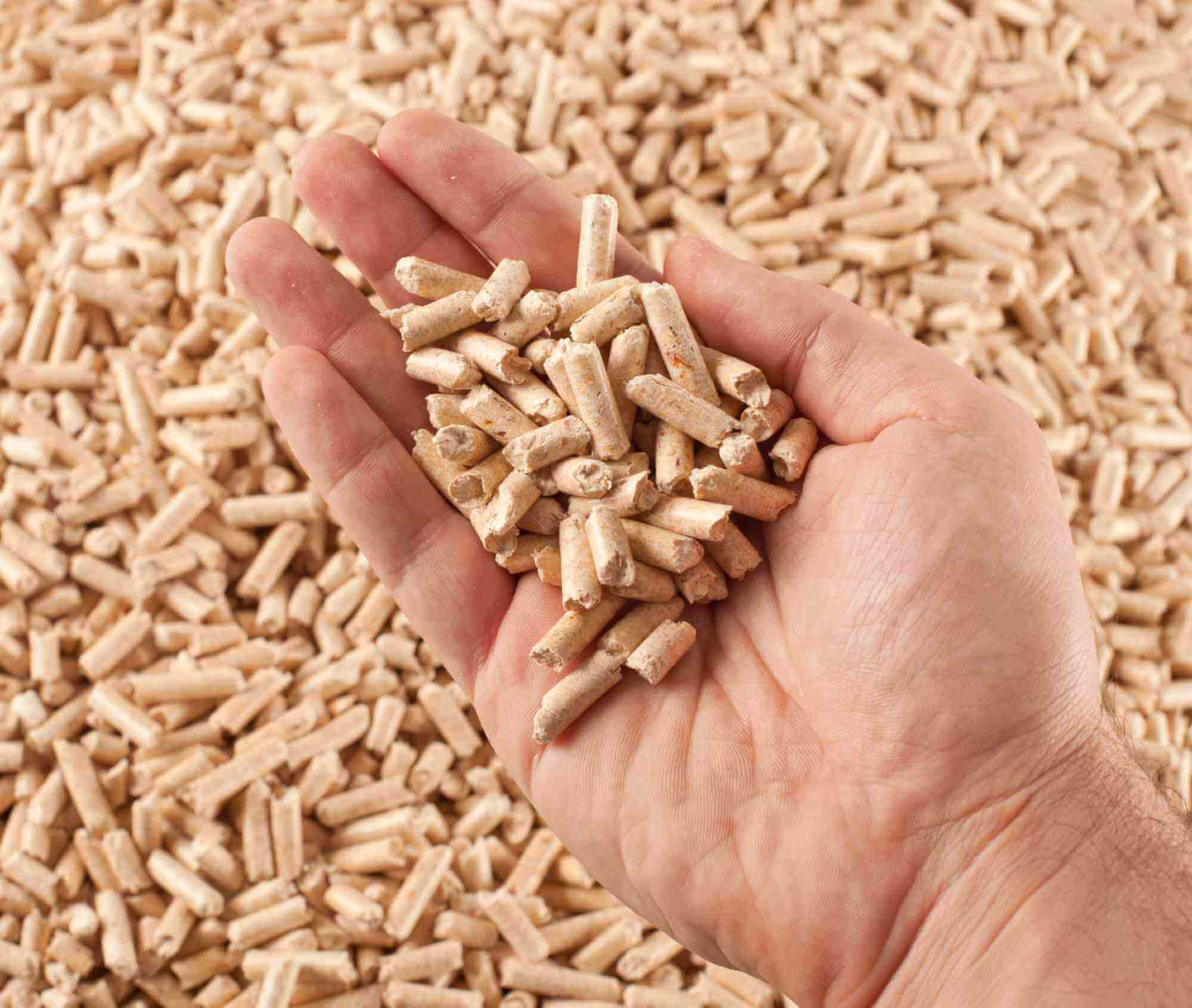 Wood Pellets Moisture Measurement