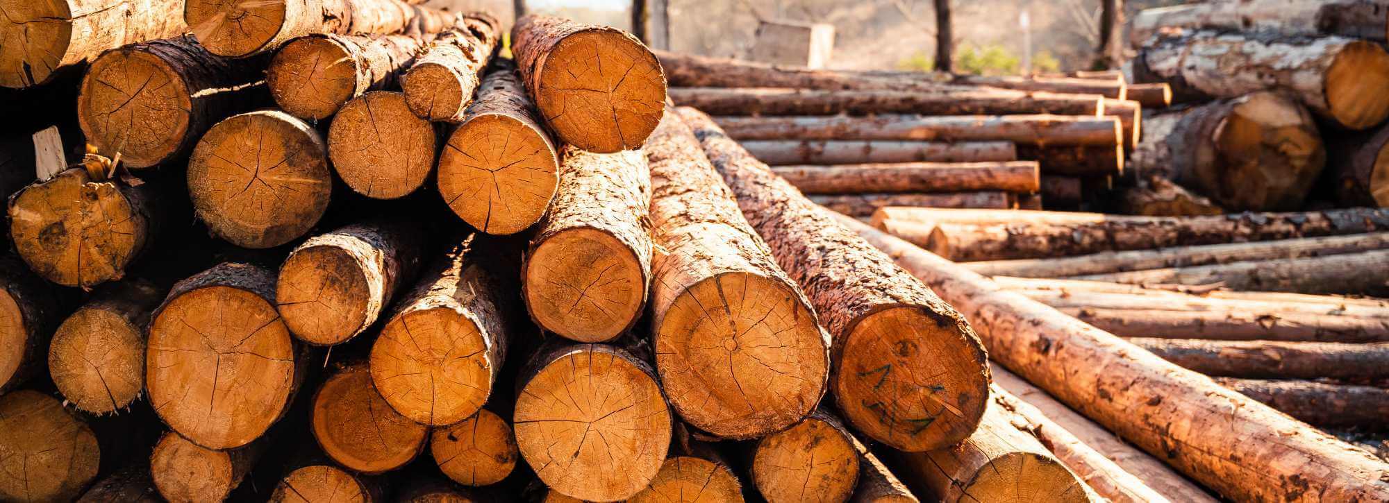 Wood Moisture Meters