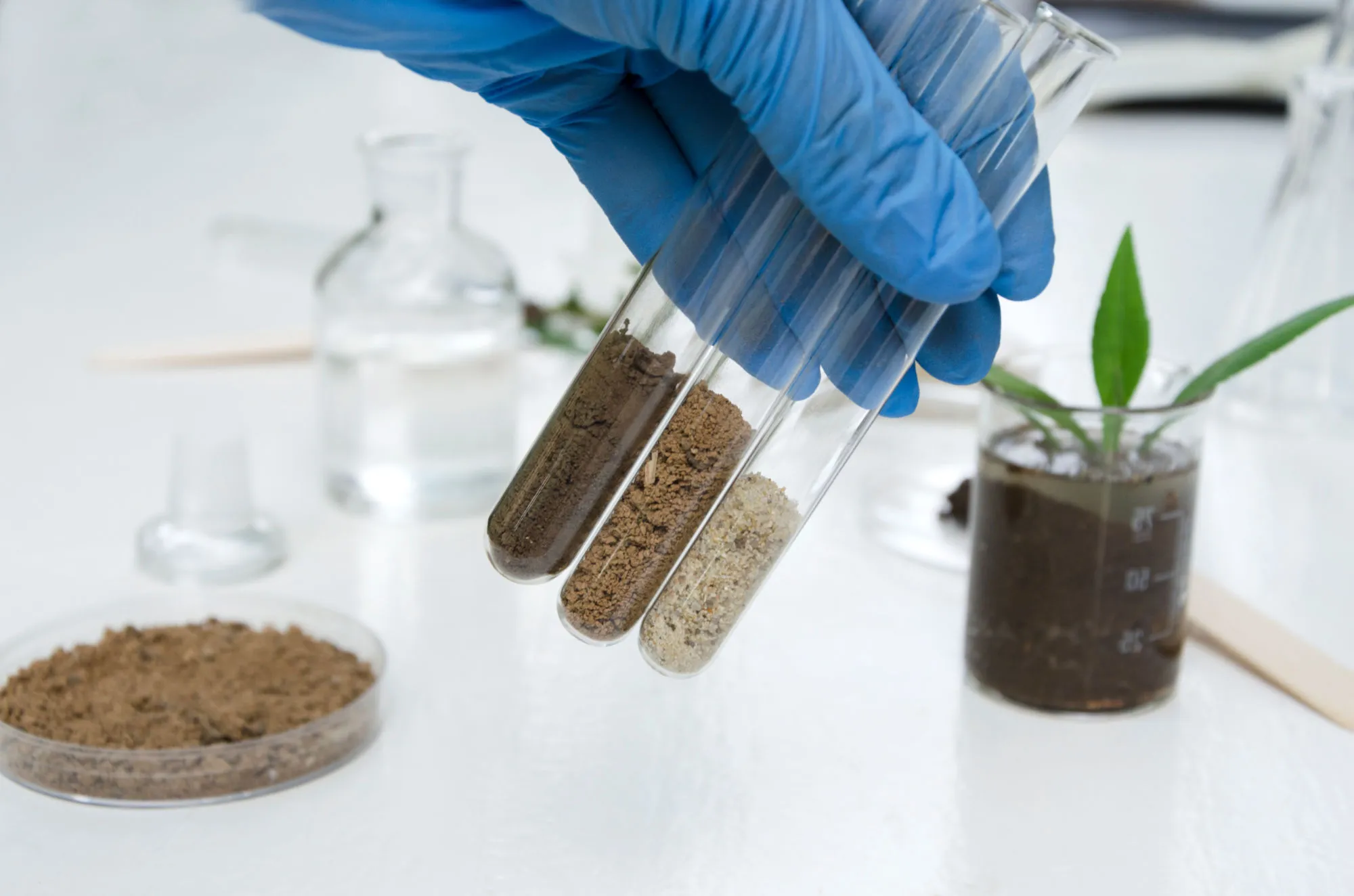 Soil Analysis