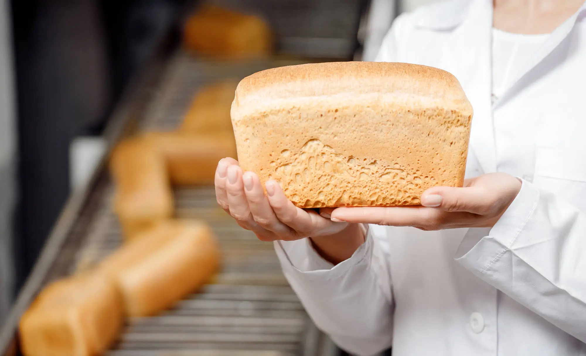 Bread in Hands