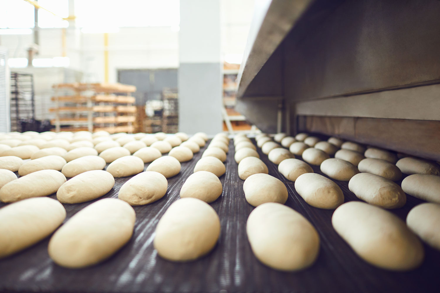 In-process bakery analysis: Why Mixolab 2 is the perfect tool to reduce waste