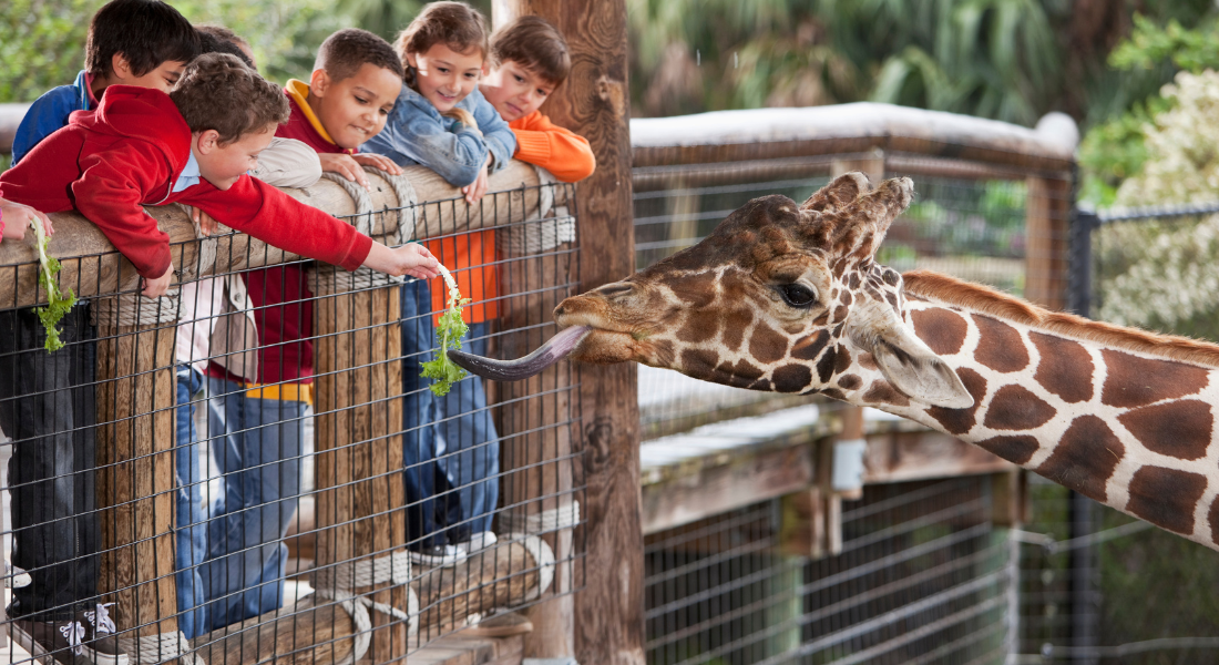 FamilyFriendly Knoxville Parks, Zoos, and Fun for Kids Tennessee