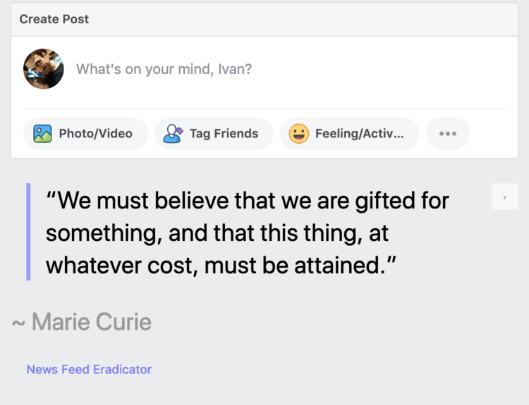 feed eradicator