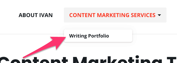 PORTFOLIO MENU