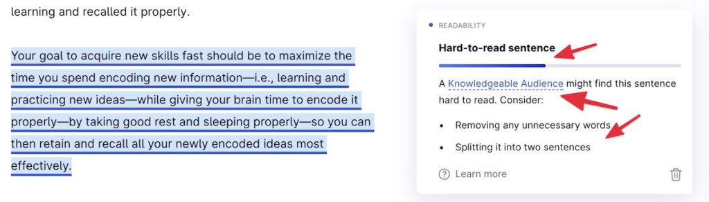 GRAMMARLY REVIEW