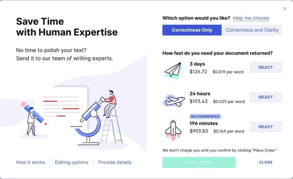 GRAMMARLY REVIEW