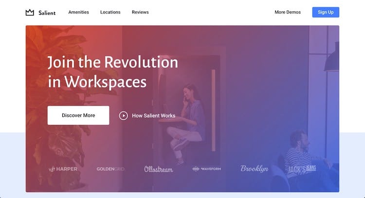 salient one-page business theme