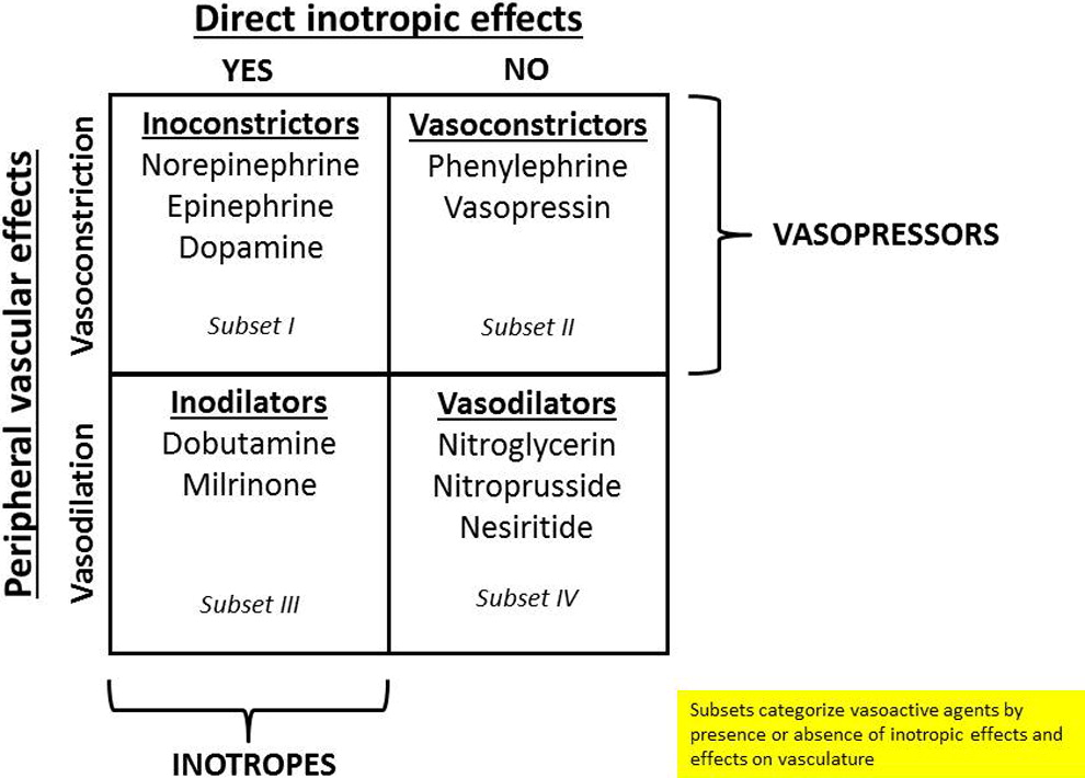 Medicina Intensiva Drogas vasoativas importância, classificação e