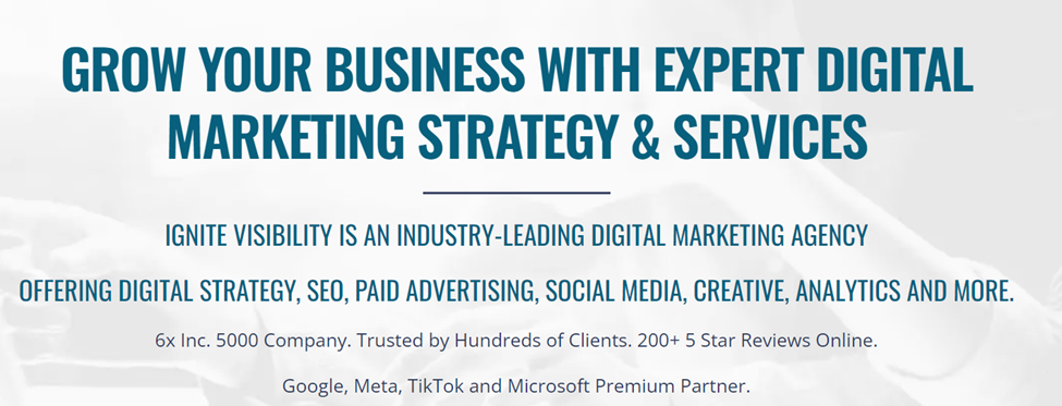 ignite visibility b2b seo agenc