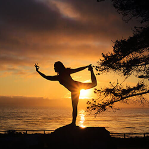 A view of the coast south of Esalen and the path leading down to the baths.