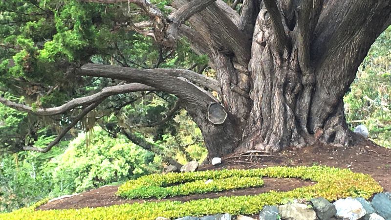 Mark Abramson | Faculty Member | Esalen