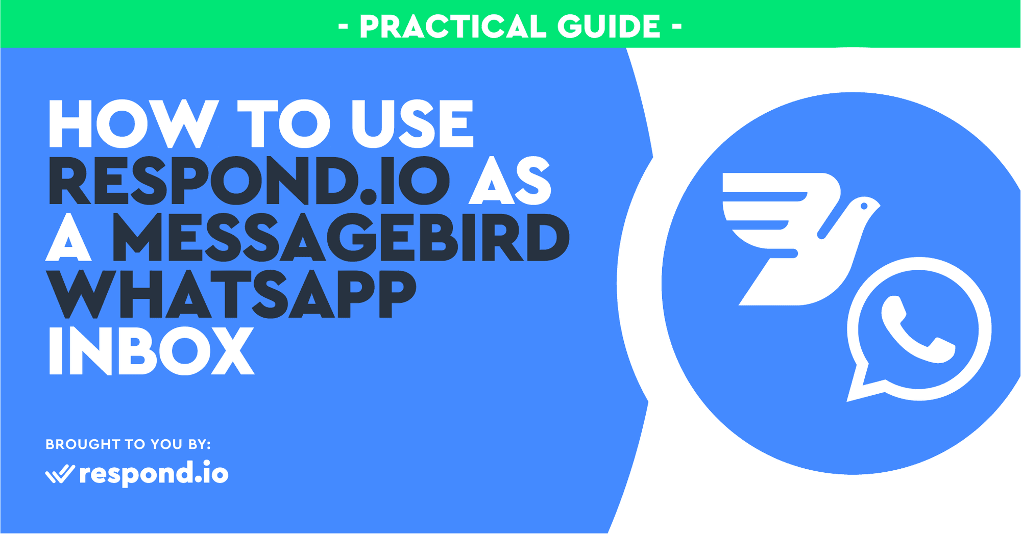 MessageBird WhatsApp Inbox Start Messaging in 5 Mins [July 2023]