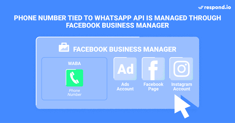 This is an image of a WhatsApp API phone number. A phone number needs to be associated with your WhatsApp API account. Depending on your BSP, you can buy a phone number or port an existing one. A phone number lives under a WABA, which is managed through Facebook Business Manager. Facebook Business Manager is also where you manage other Facebook assets such as your Instagram account, ads account and Facebook page. Each WABA can have up to 25 numbers, depending on the phone number tier.