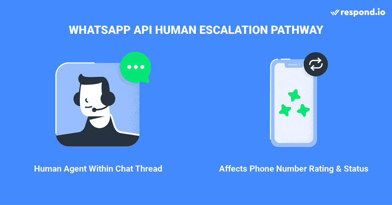 This is an image about Human Escalation Pathway. WhatsApp has made it compulsory for a WhatsApp human escalation pathway. Some acceptable escalation methods include human agent handoff, phone number, email, web support form and in-store visit prompts. Do be aware that indirect channels such as social media, a help centre webpage or a link to an app do not meet this requirement.