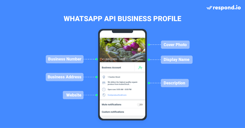 This is an image showing how a Business Profile of WhatsApp business platform looks. A WhatsApp API Business Profile provides customers with more information about your business. Businesses can optimize their business profiles by updating their cover photo, description, address, email and website. Find out more about other features of API for WhatsApp on the blog.
