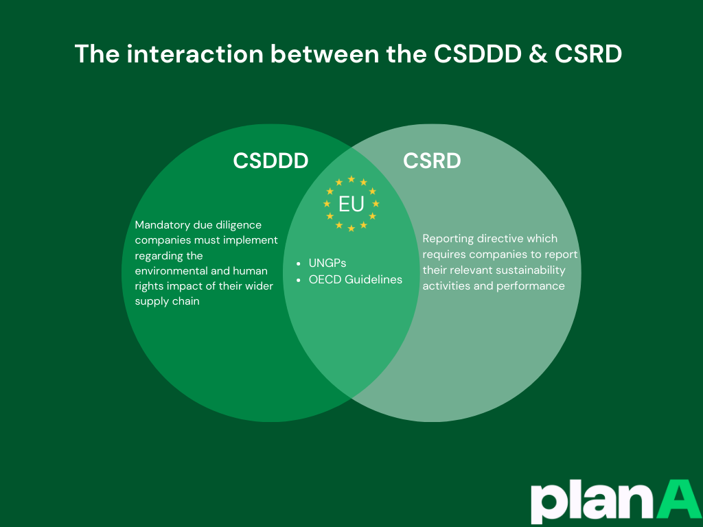 Die Unterschiede und Gemeinsamkeiten zwischen dem CSDDD und dem CSRD