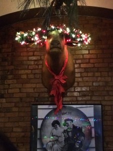 Bull light