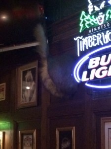 Bull light Inn