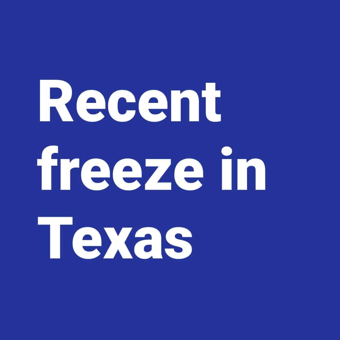 What can sustainable investors learn from the recent freeze in Texas