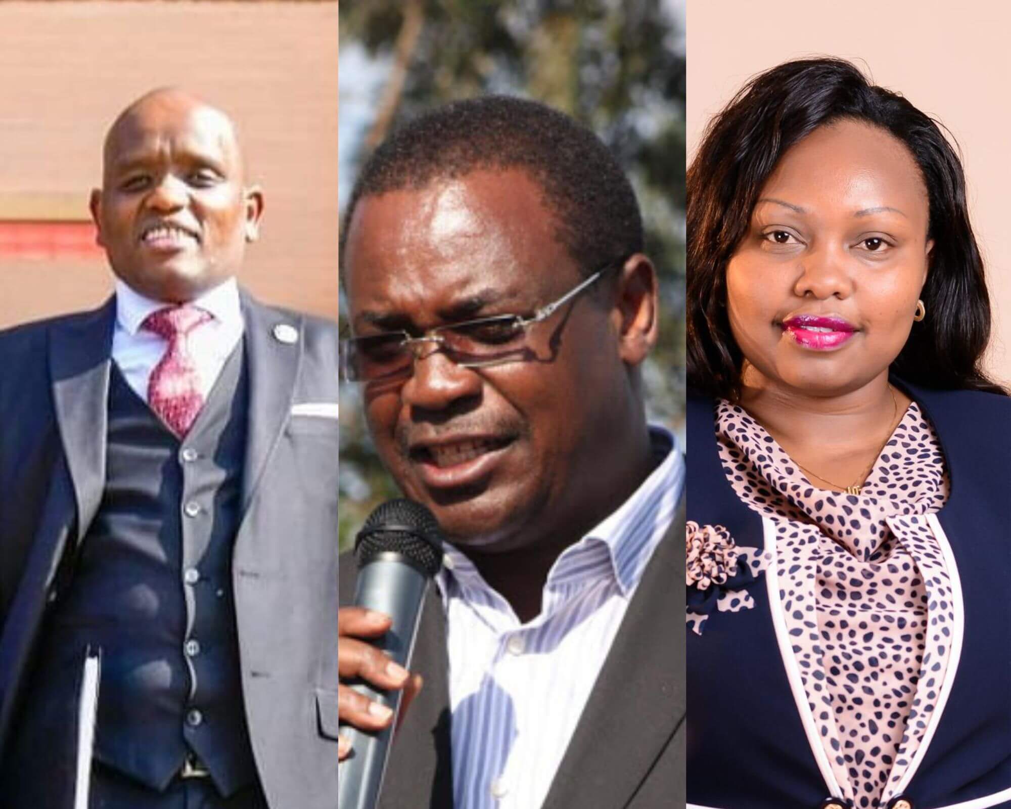 Full List of 50 CASs Nominated by President William Ruto 