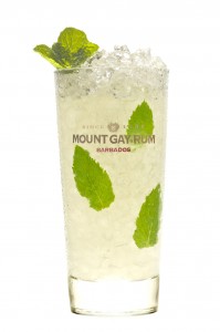 mount gay- mojito