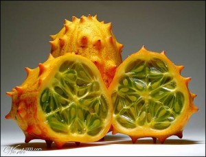 droles de fruits3