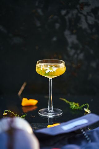 Martini Orange & Camomille