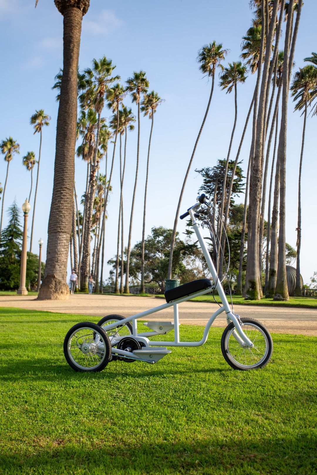 walking bicycle club ウォーキングバイシクル