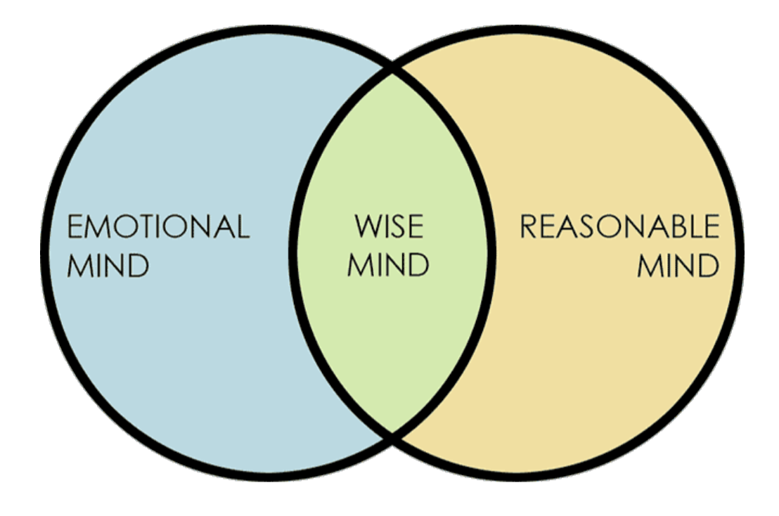 The Wise Mind, Emotional Mind and Reasonable Mind