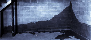 Leaking Basement Wall Repair (Causes and Solutions)